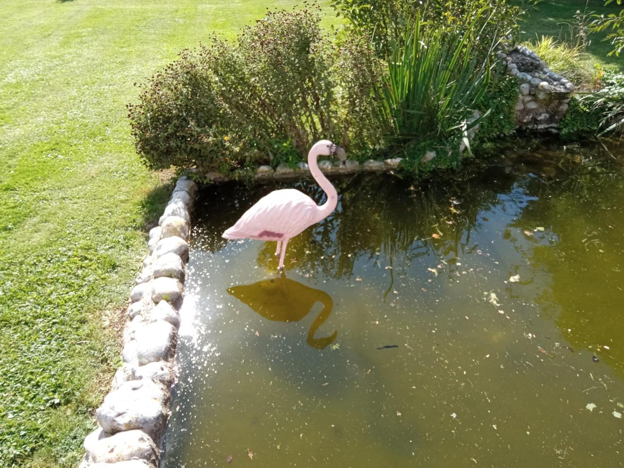 Gite Repos Et Tranquillite G Cayeux-sur-Mer Bagian luar foto