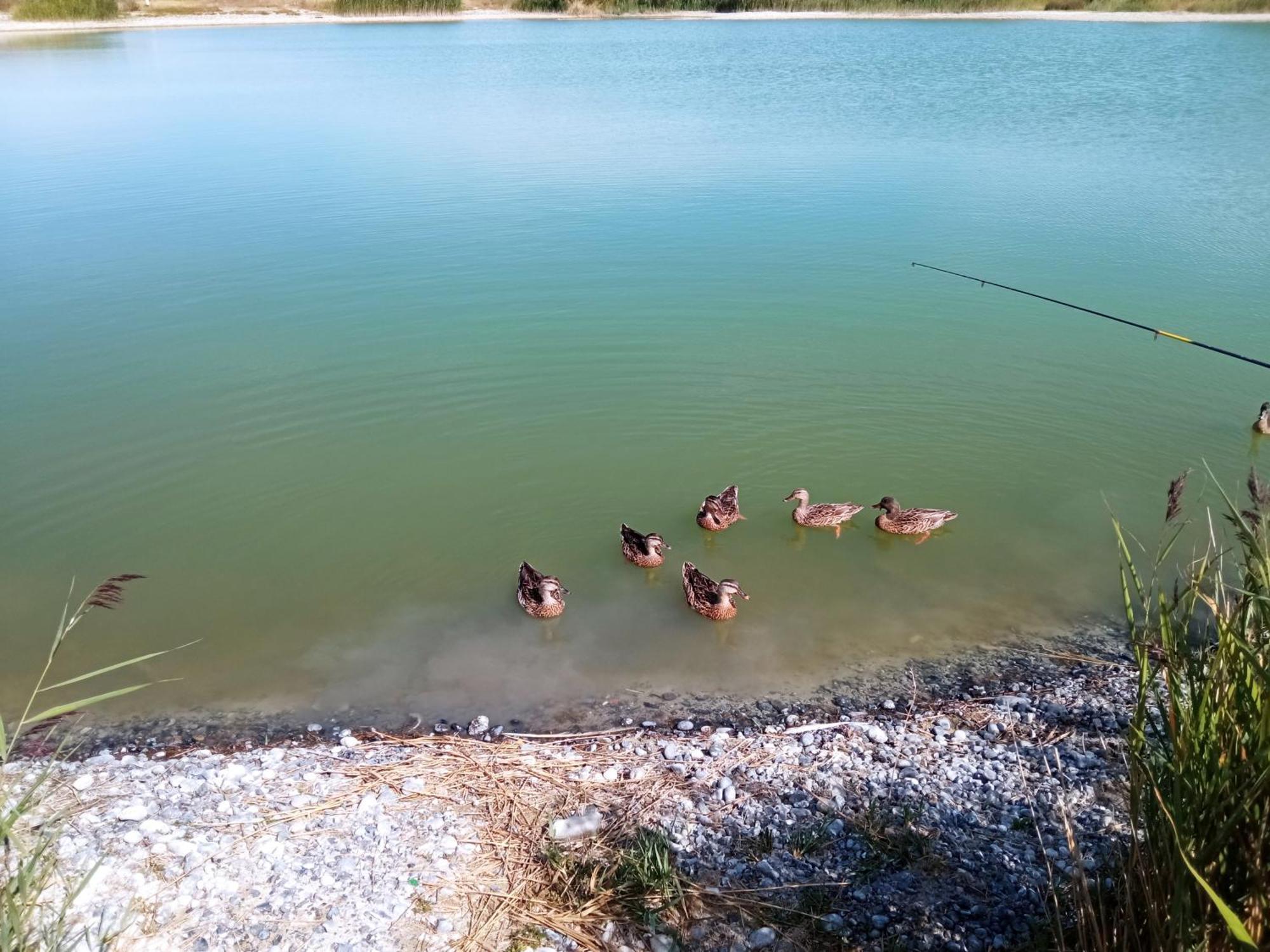 Gite Repos Et Tranquillite G Cayeux-sur-Mer Bagian luar foto