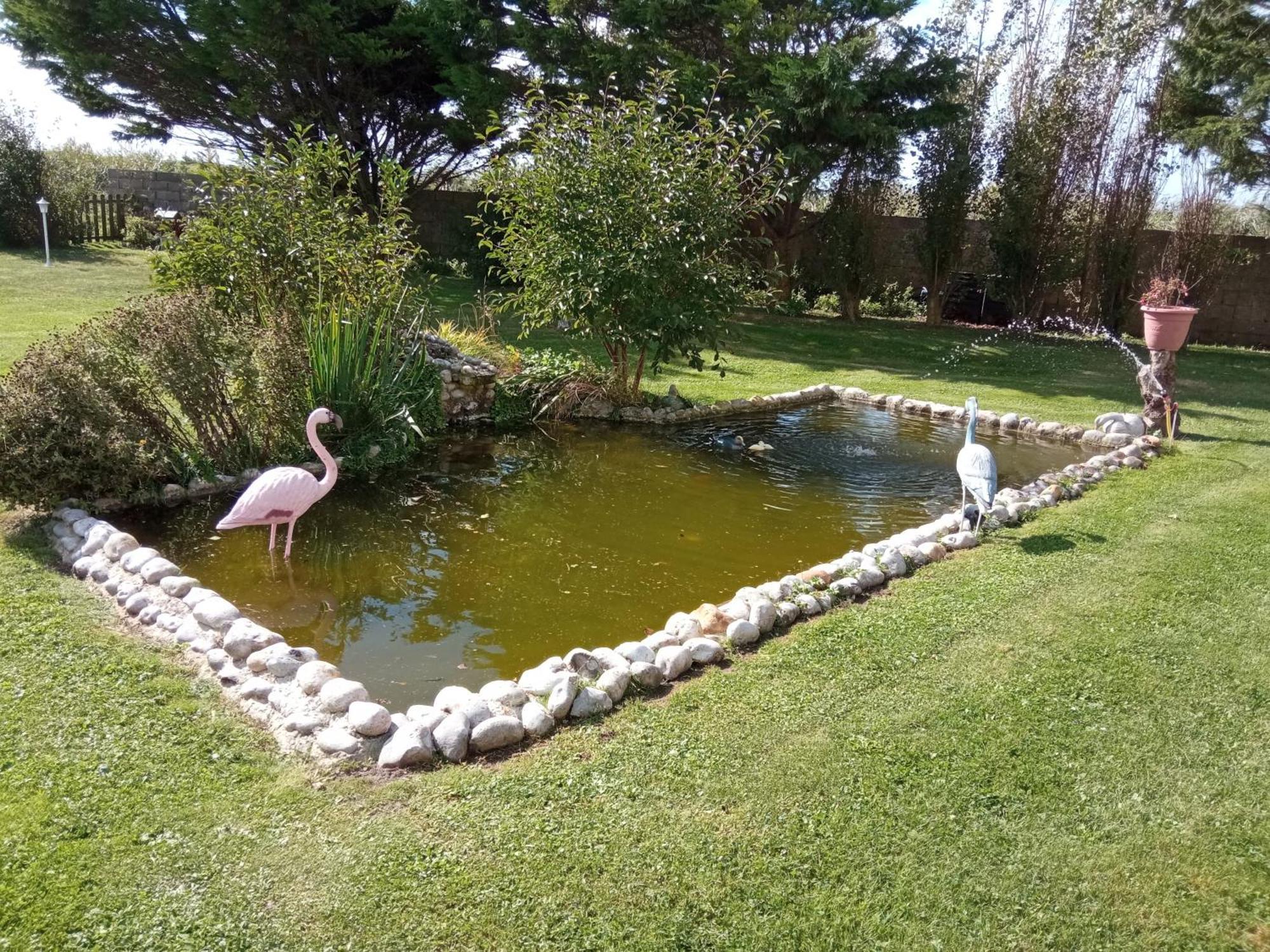Gite Repos Et Tranquillite G Cayeux-sur-Mer Bagian luar foto