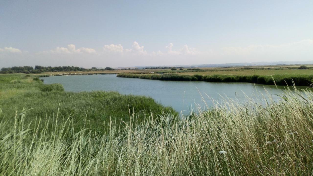 Gite Repos Et Tranquillite G Cayeux-sur-Mer Bagian luar foto